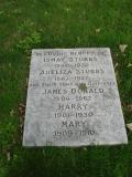 image of grave number 344711